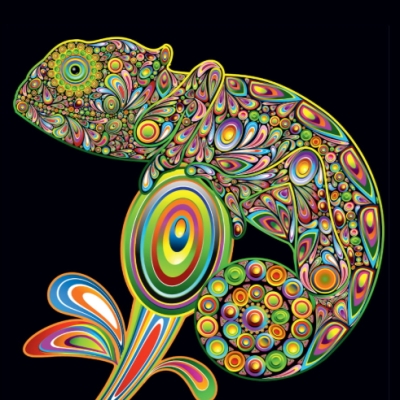 Papier fotograficzny do drukarek atramentowych - rolka